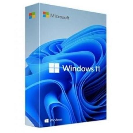 윈도우11 (PRO/HOME 가격동일)처음사용자용