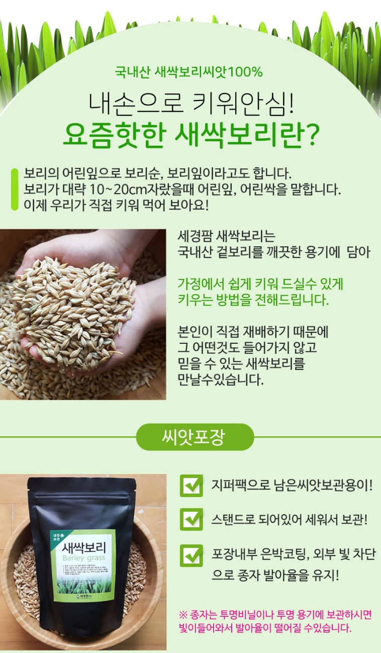 새싹보리씨앗1Kg, 보리싹키우는법, 국내산:: 위메프