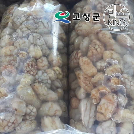  갤러리아   공룡나라 동성수산 국산 생물 오만둥이 2kg / 경남 고성