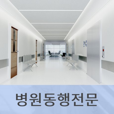 병원동행서비스 검진동행 취약계층 편도동행 왕복동행 서울병원동행