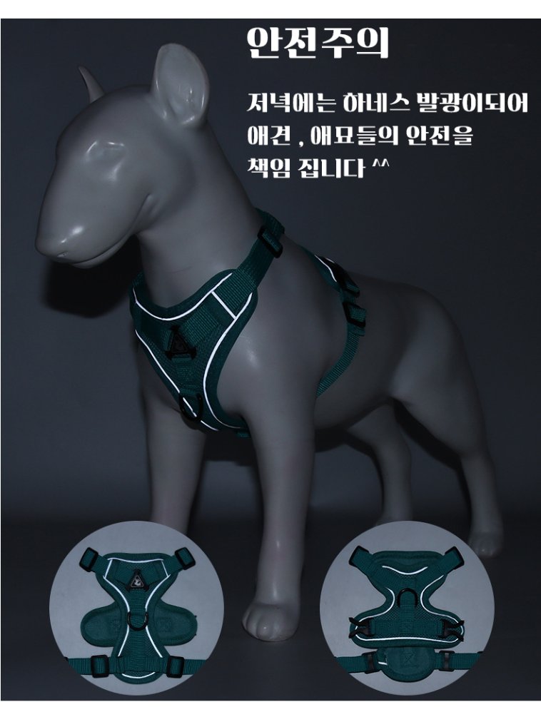 고양이가 개 하네스를 착용할 수 있습니까