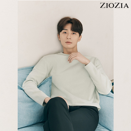 [21S/S] 지오지아 워셔블 레귤러핏 라운드넥 니트 스웨터 ADB1ER1904 LGN