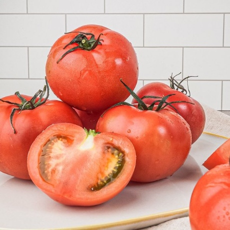 [농부마음] [갤러리아] GAP인증 고영국농부의 완숙 토마토 5kg(4-5번과)