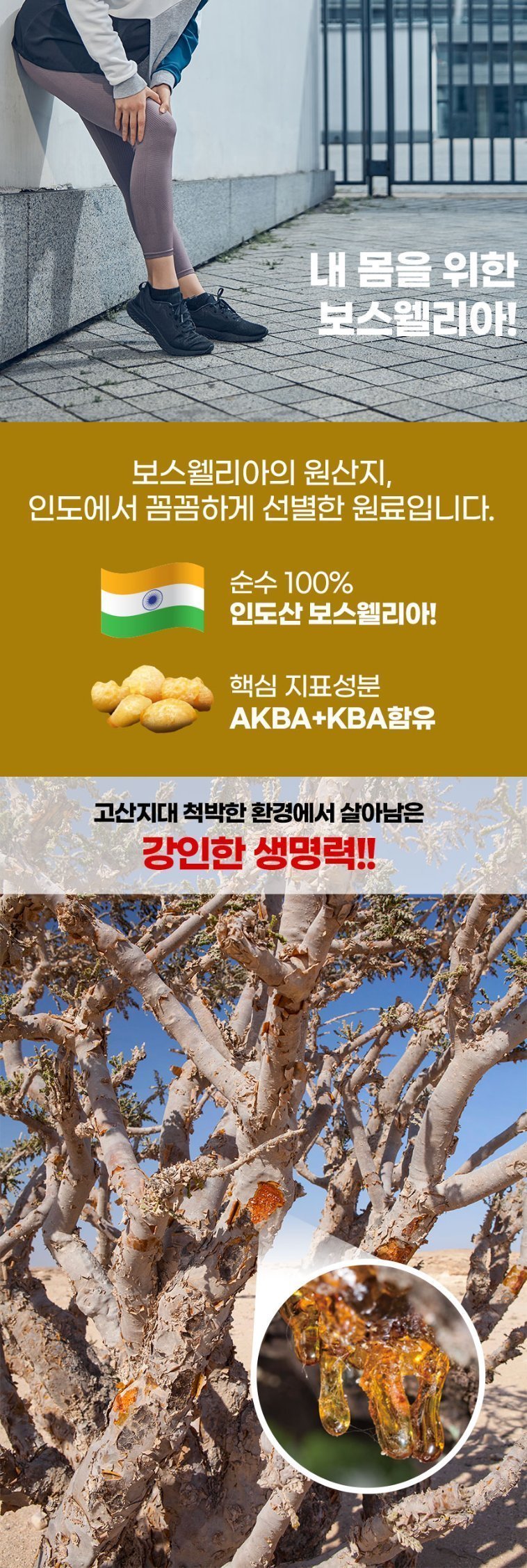 상세정보